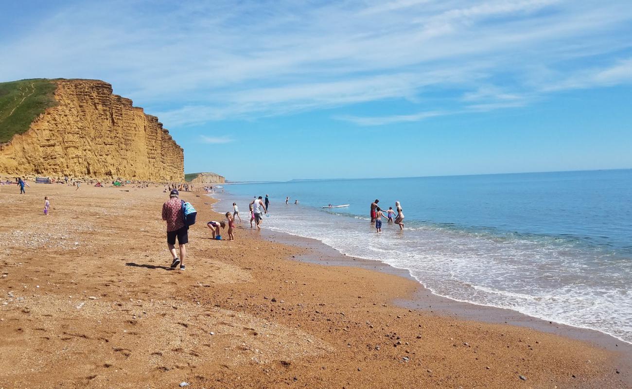 Bridport beach Front'in fotoğrafı hafif ince çakıl taş yüzey ile