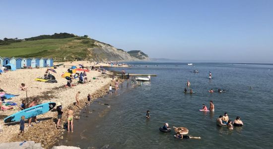 Charmouth Plajı