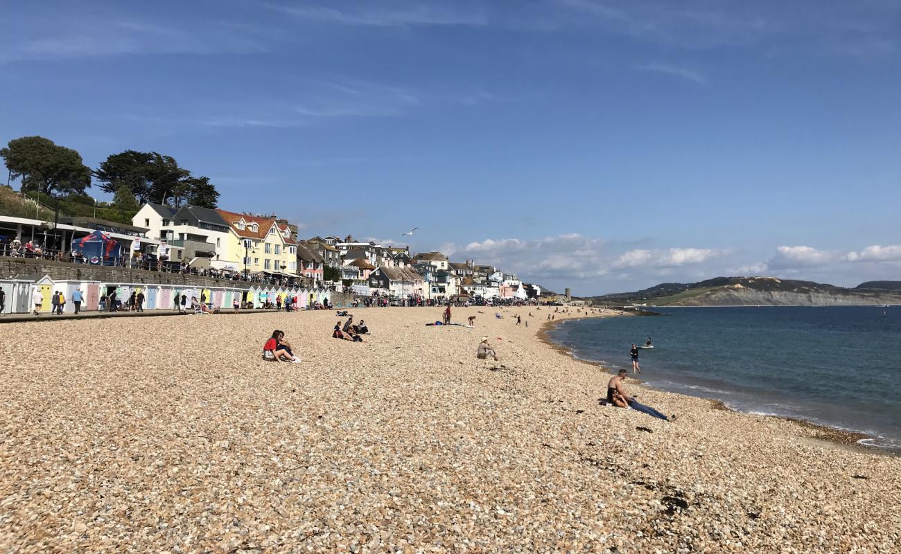 Lyme regis beach'in fotoğrafı bej kum ve çakıl yüzey ile
