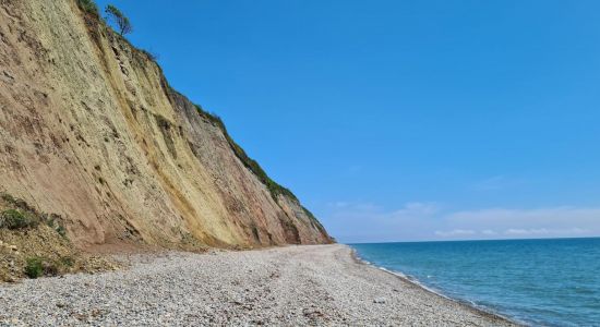 Haven Cliffs beach