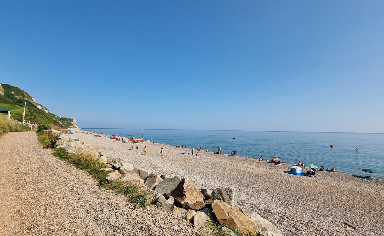 Branscombe Plajı'in fotoğrafı gri ince çakıl taş yüzey ile