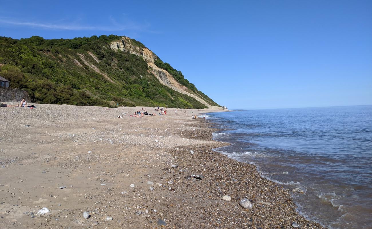 Weston Mouth'in fotoğrafı gri çakıl taşı yüzey ile