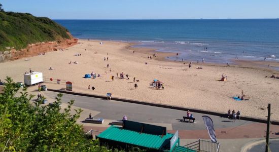 Green fields beach