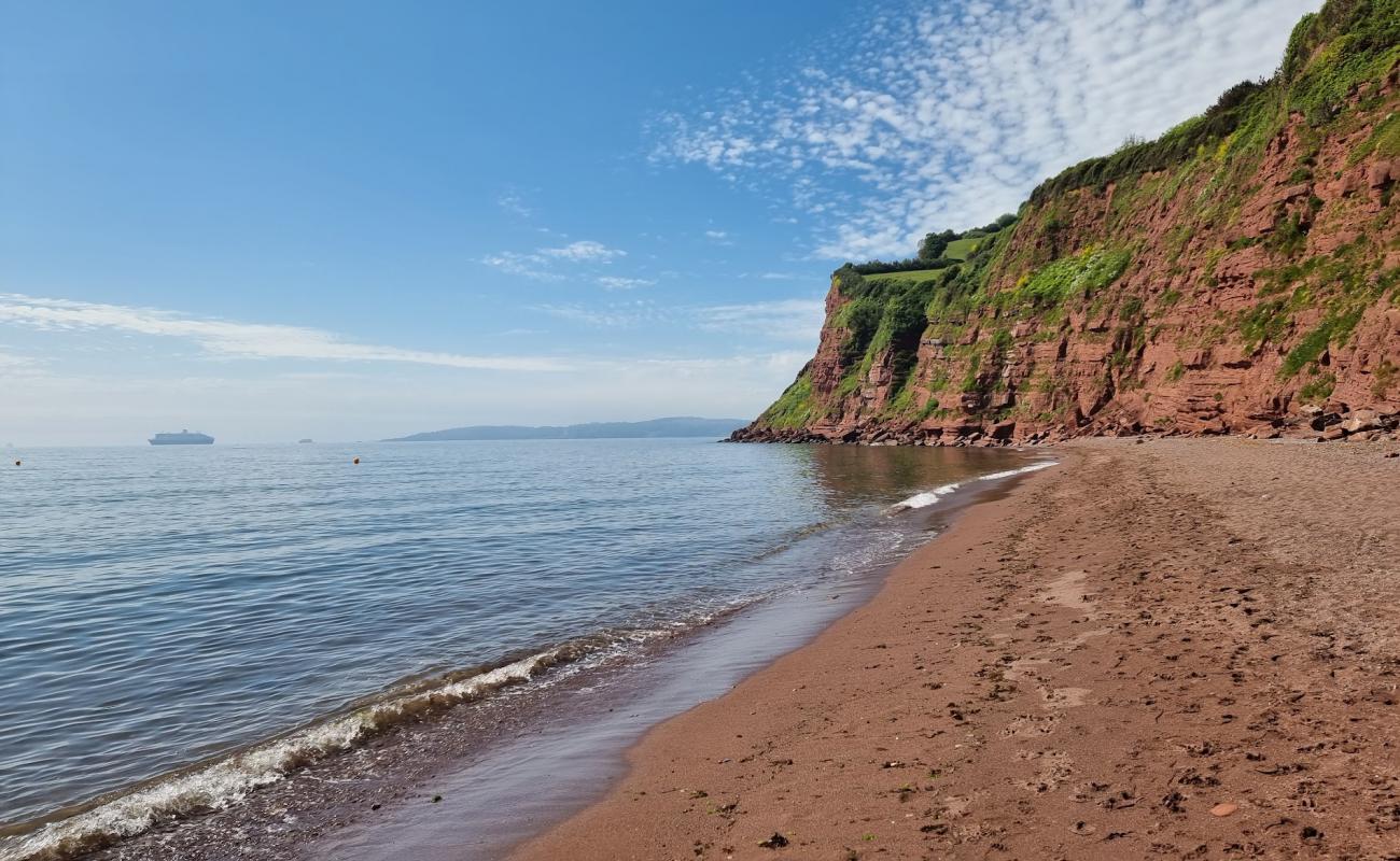 Ness Cove beach'in fotoğrafı kahverengi kum yüzey ile