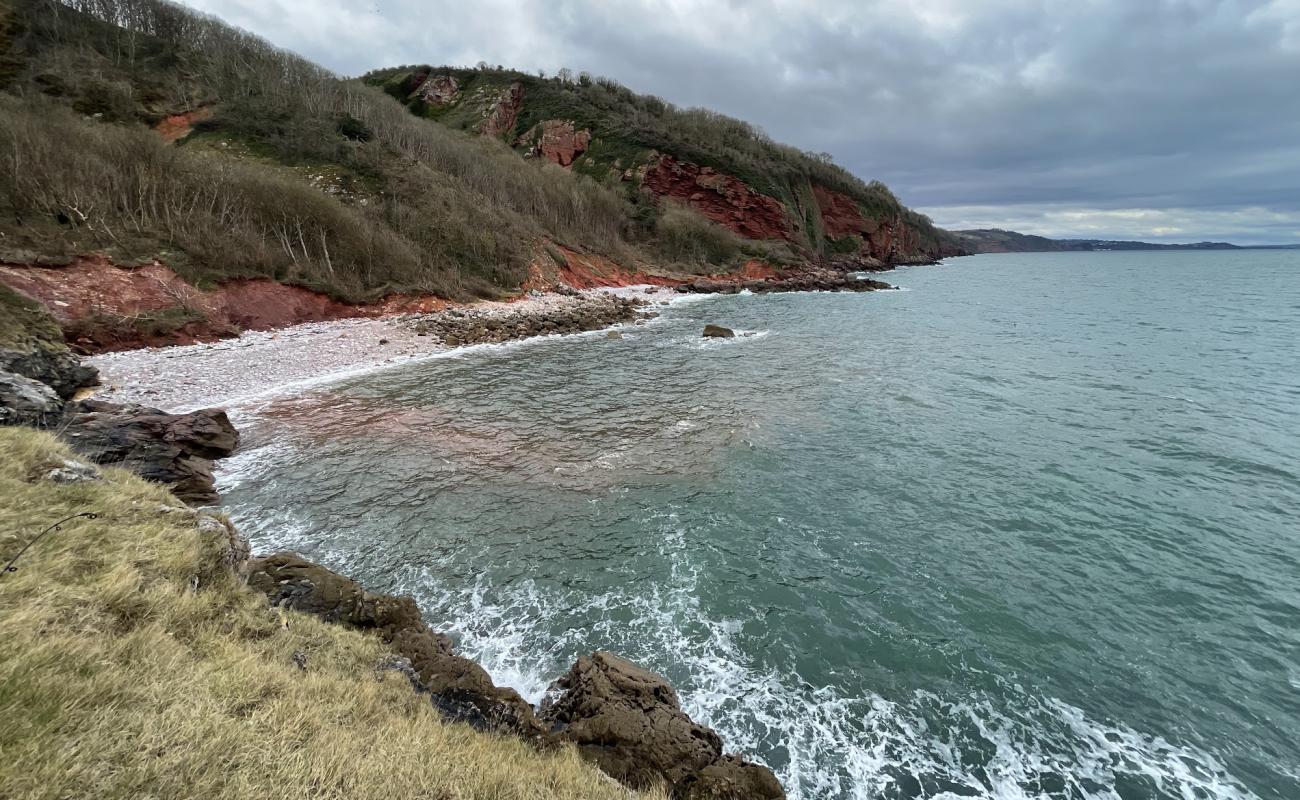 Crab beach'in fotoğrafı kayalık arazi yüzey ile