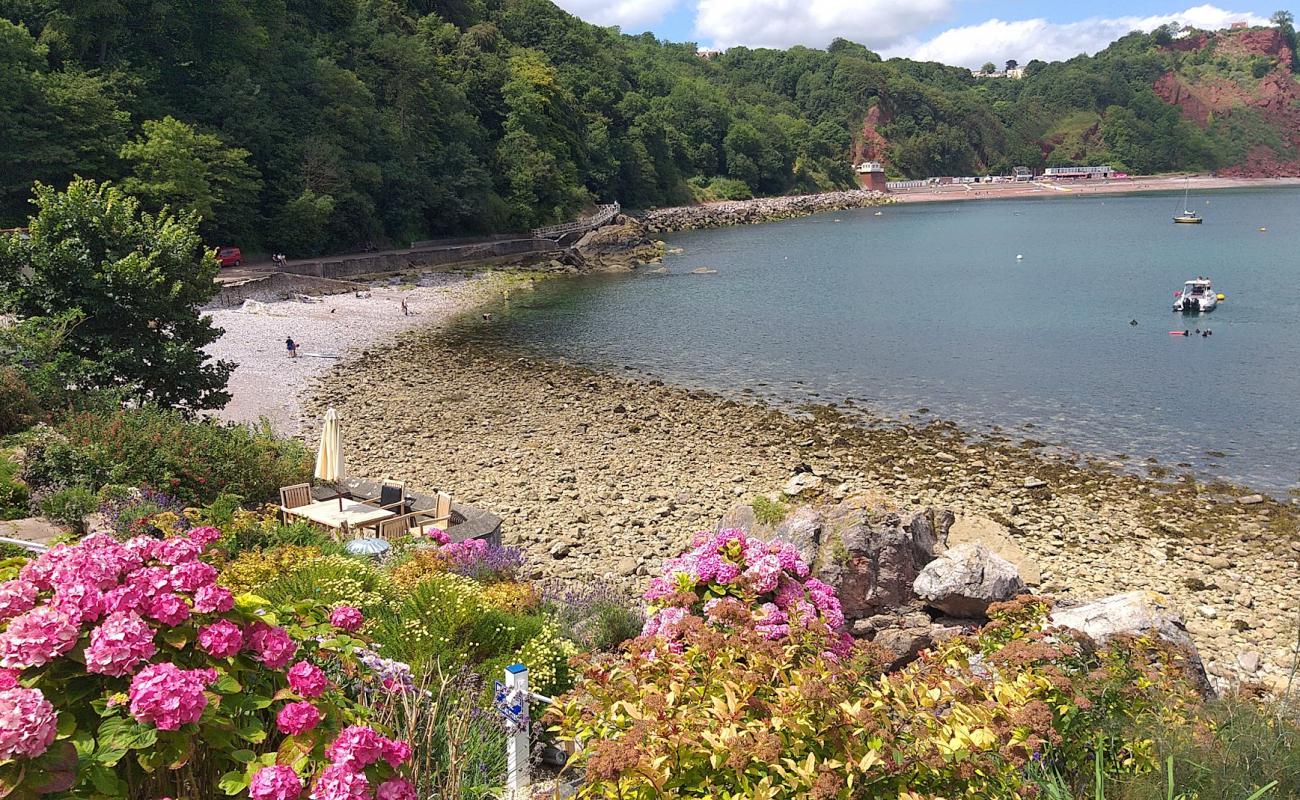 Babbacombe plajı'in fotoğrafı taşlar yüzey ile