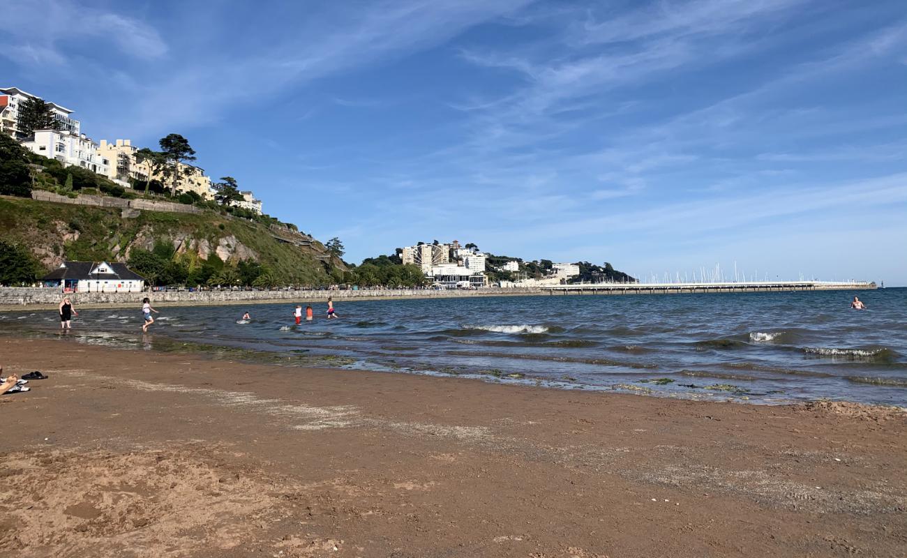 Torre Abbey Sands'in fotoğrafı kahverengi kum yüzey ile