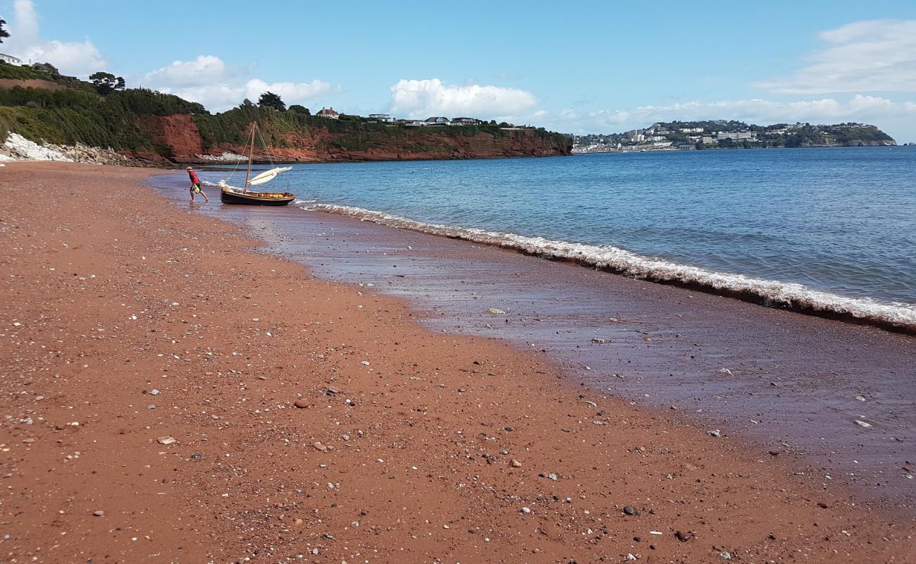 Hollicombe beach'in fotoğrafı kahverengi kum yüzey ile