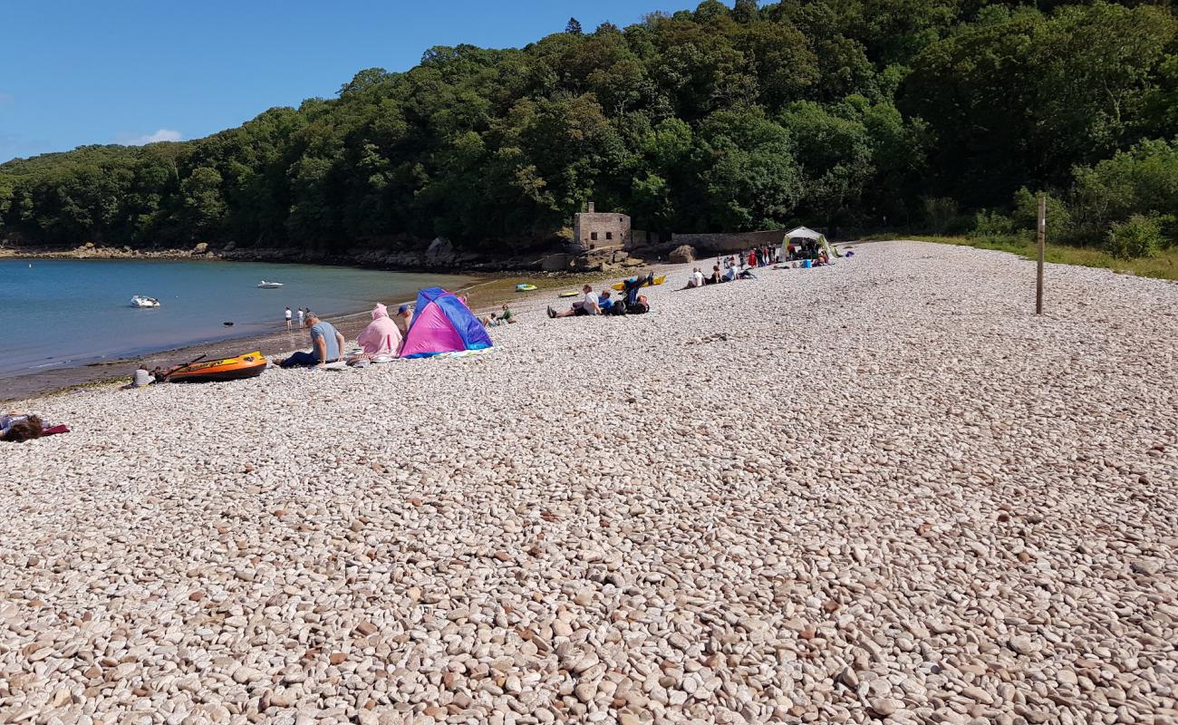 Elberry Cove'in fotoğrafı bej çakıl yüzey ile