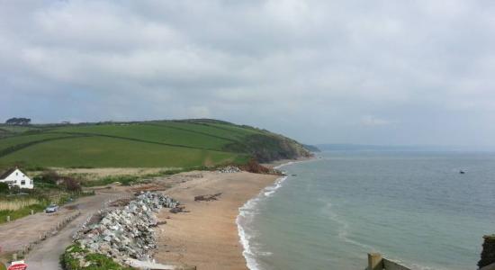 Driftwood beach