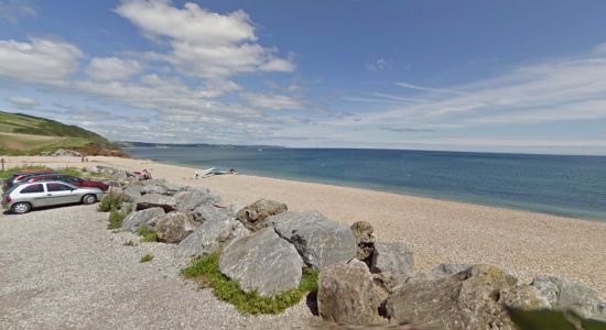 Driftwood beach