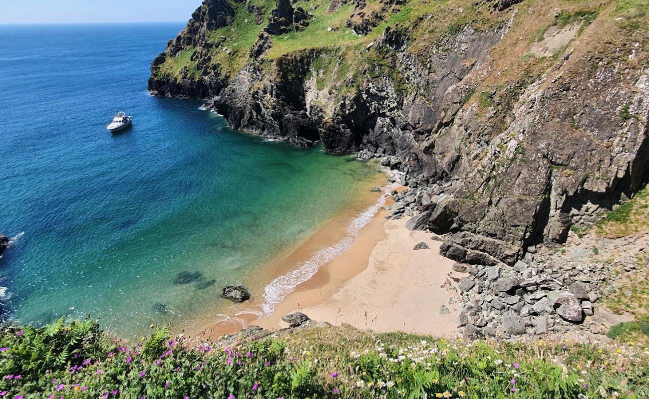 Maceley Cove'in fotoğrafı açık bej kum yüzey ile
