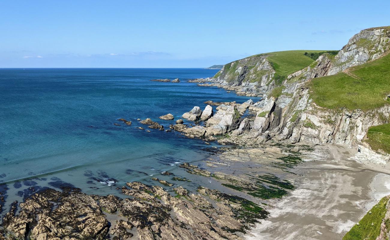 Wyscombe beach'in fotoğrafı bej çakıl yüzey ile