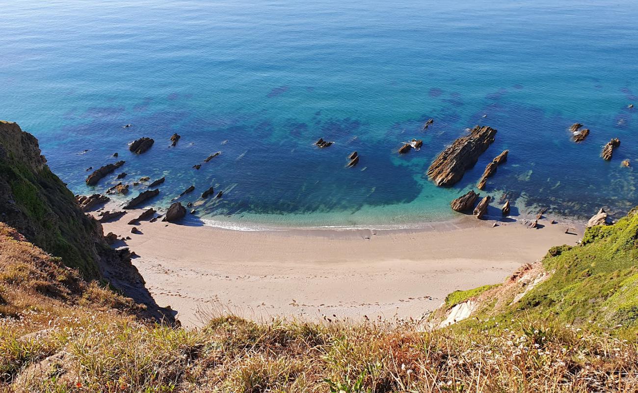 Britian Cove'in fotoğrafı gri kum yüzey ile