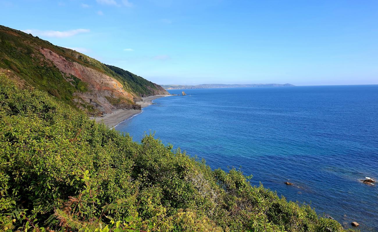 Shag Rock beach'in fotoğrafı açık bej kum yüzey ile