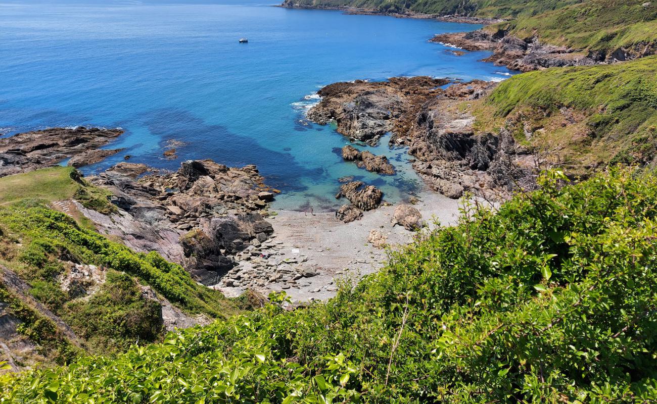 Parsons Cove'in fotoğrafı taşlı kum yüzey ile