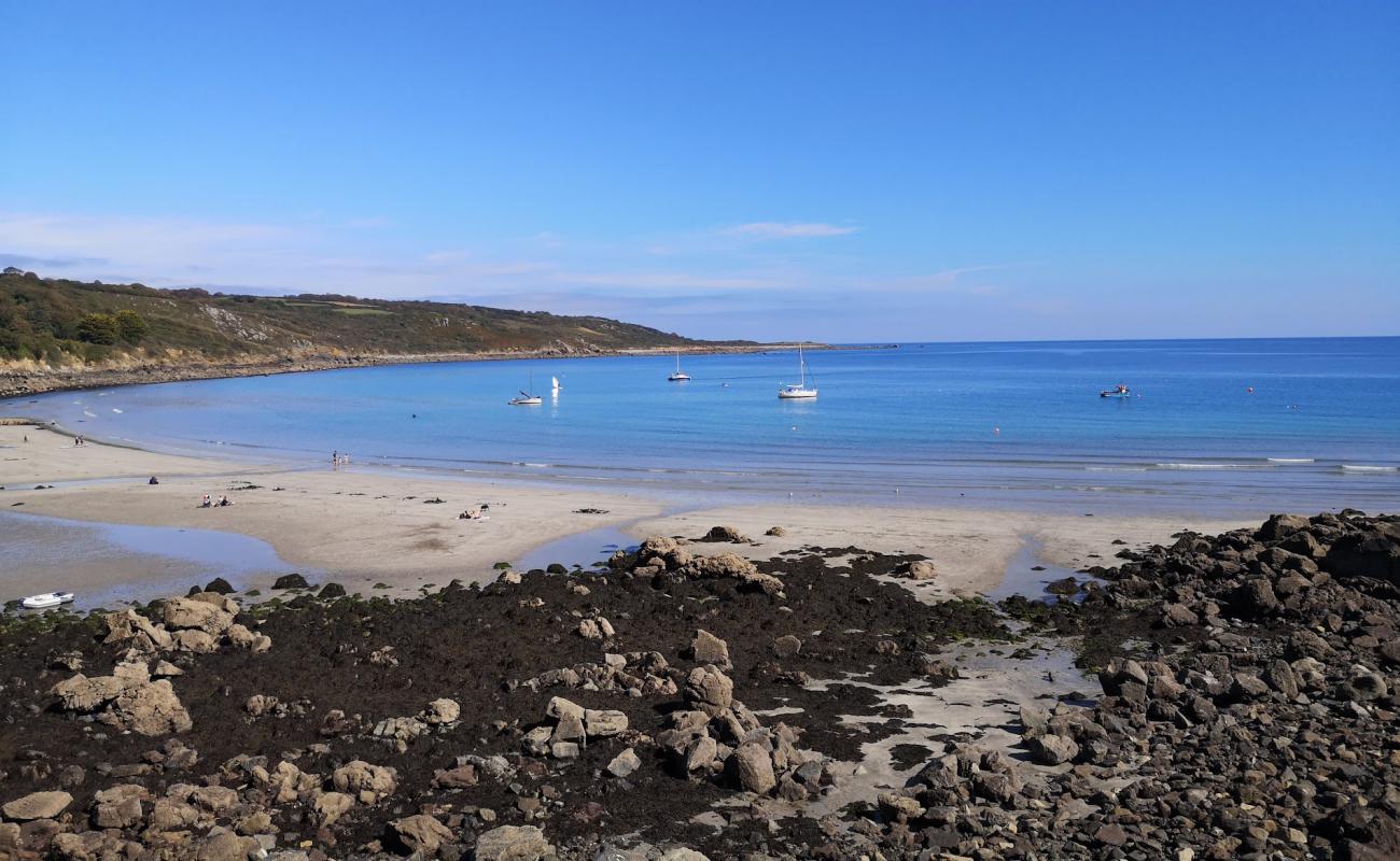 Coverack Cove beach'in fotoğrafı taşlı kum yüzey ile