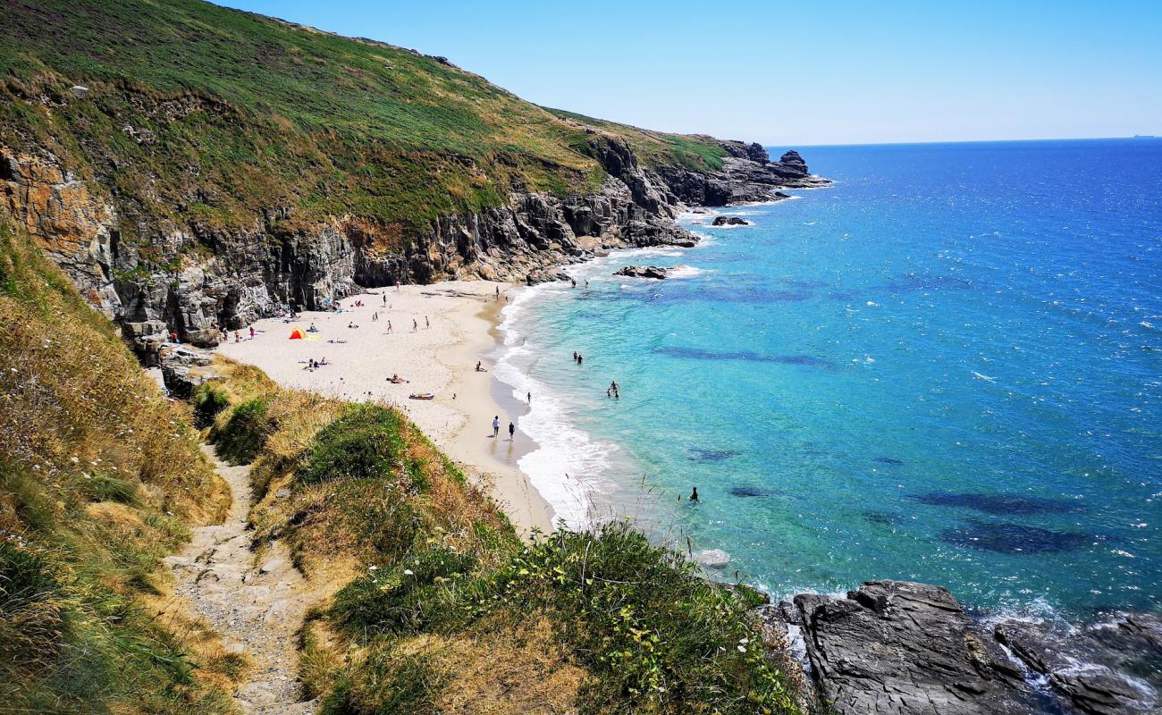 Rinsey Cove'in fotoğrafı açık bej kum yüzey ile