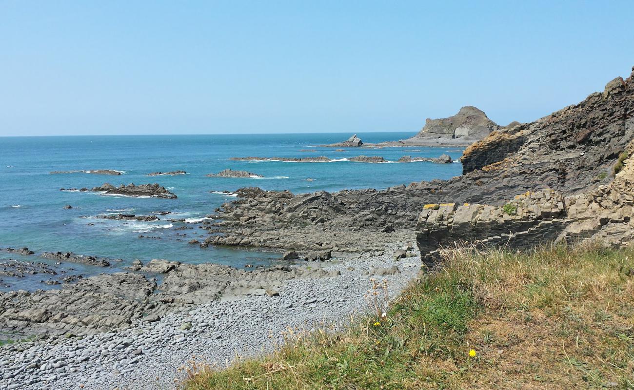 Abbey River beach'in fotoğrafı taşlar yüzey ile