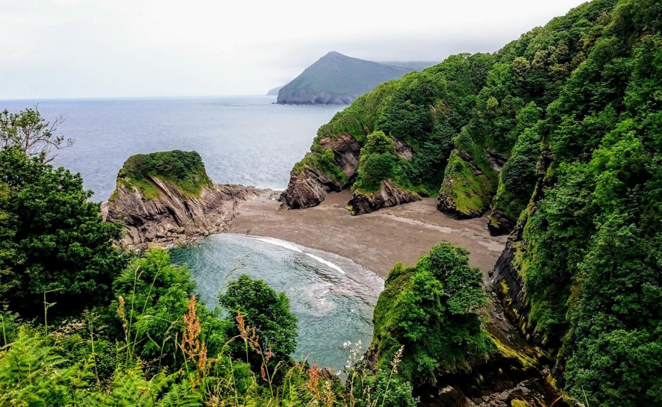 Broadsands beach'in fotoğrafı gri kum ve çakıllar yüzey ile