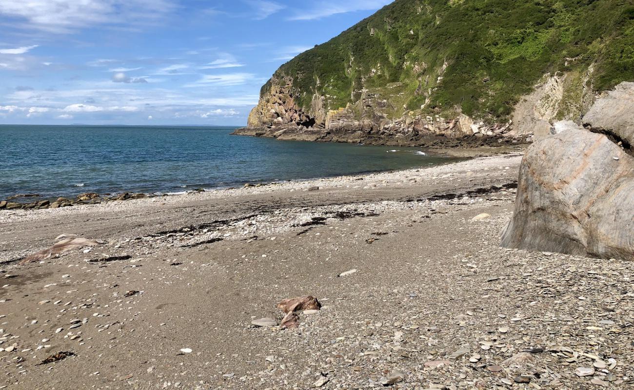 Wild Pear beach'in fotoğrafı gri kum ve çakıl yüzey ile