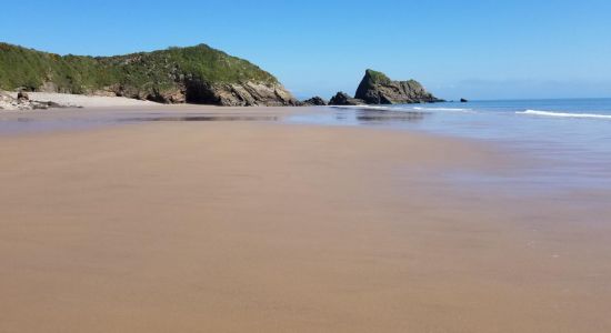 Monkstone beach