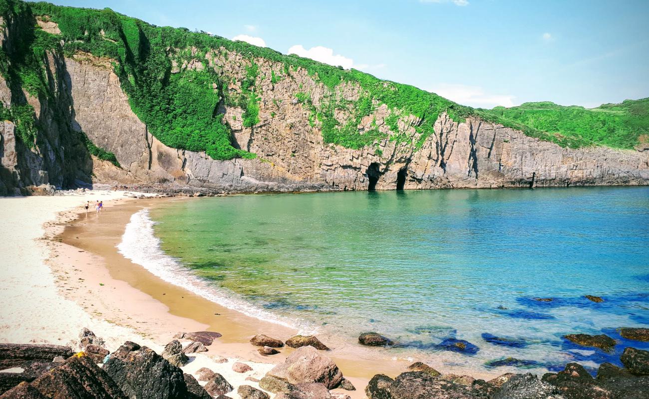 Skrinkle Haven beach'in fotoğrafı açık bej kum yüzey ile