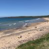 Freshwater West beach