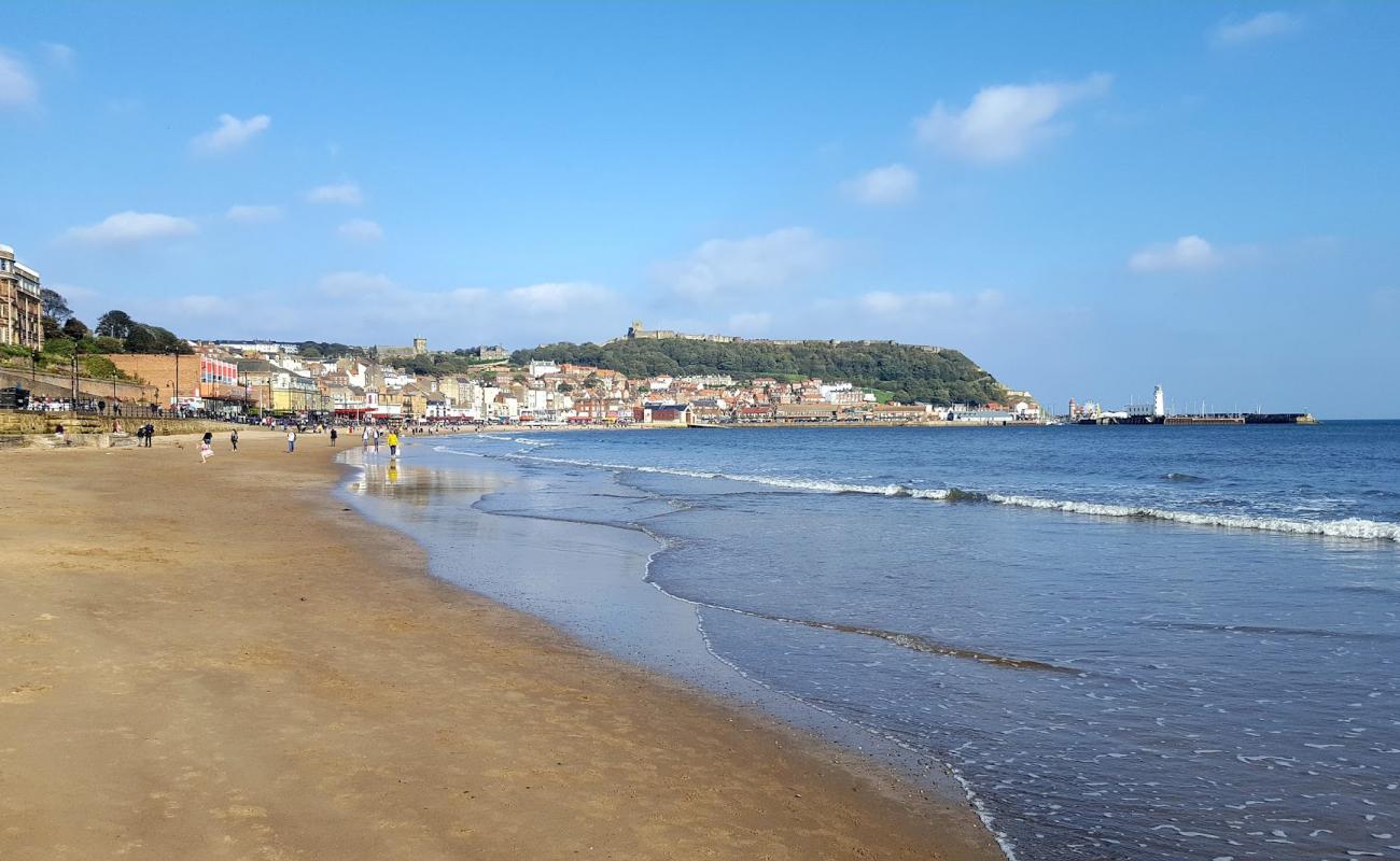 Scarborough Plajı'in fotoğrafı parlak kum yüzey ile