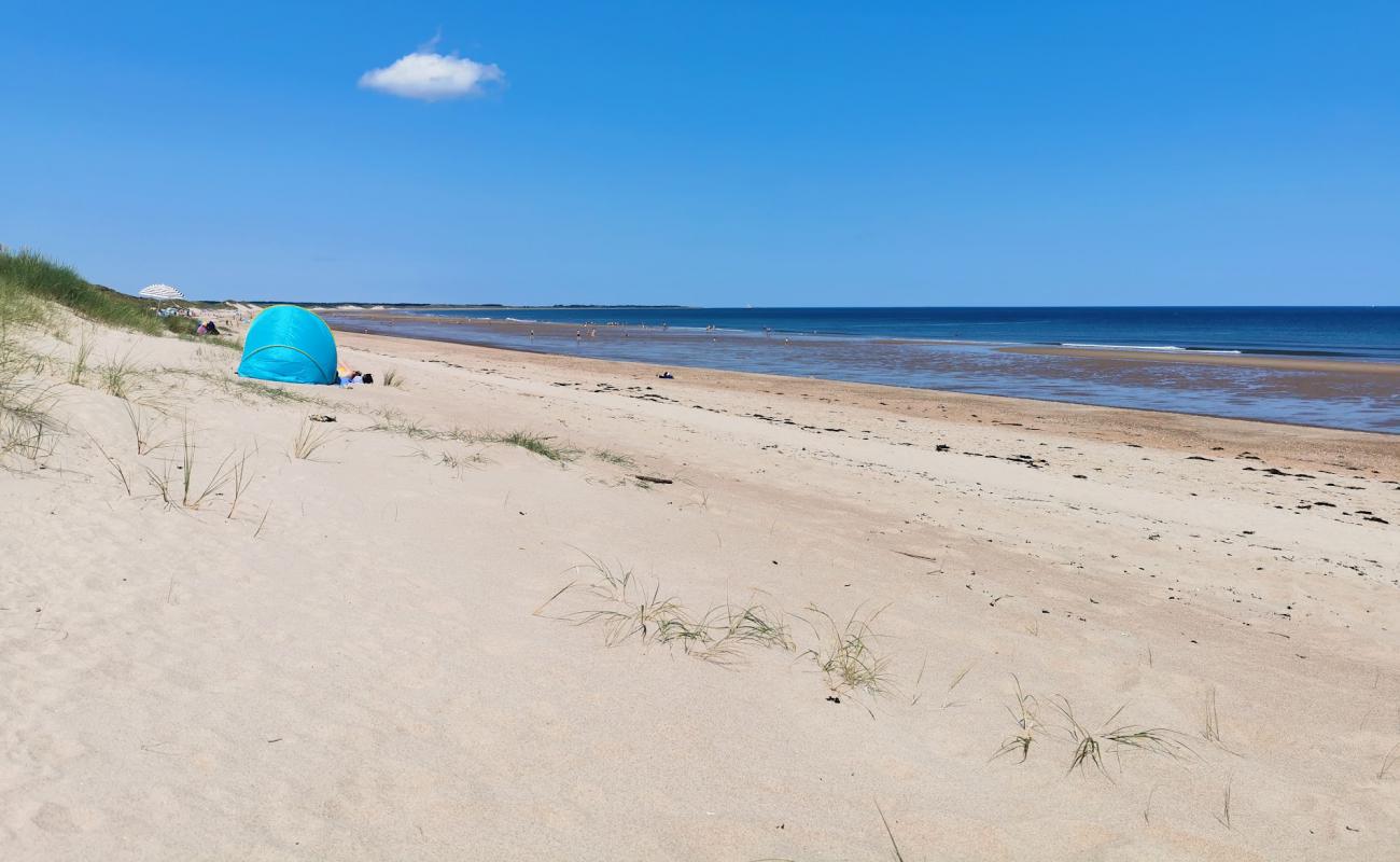 Druridge Bay beach'in fotoğrafı açık bej kum yüzey ile