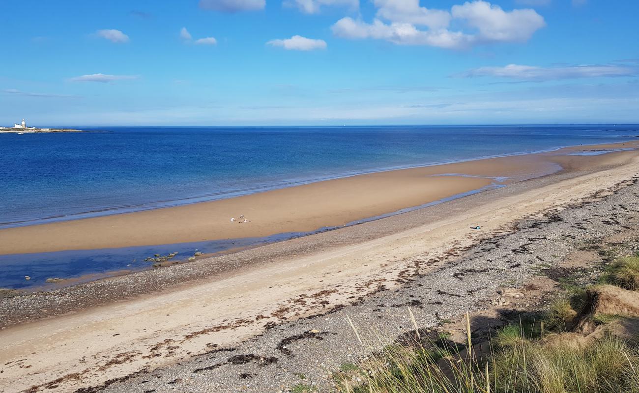 Low Hauxley beach'in fotoğrafı açık bej kum yüzey ile