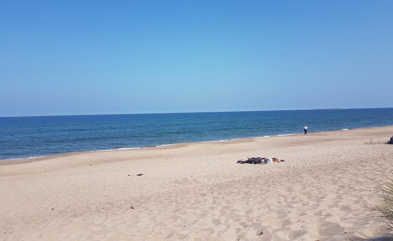 Warkworth plajı'in fotoğrafı açık bej kum yüzey ile