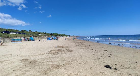 Alnmouth plajı