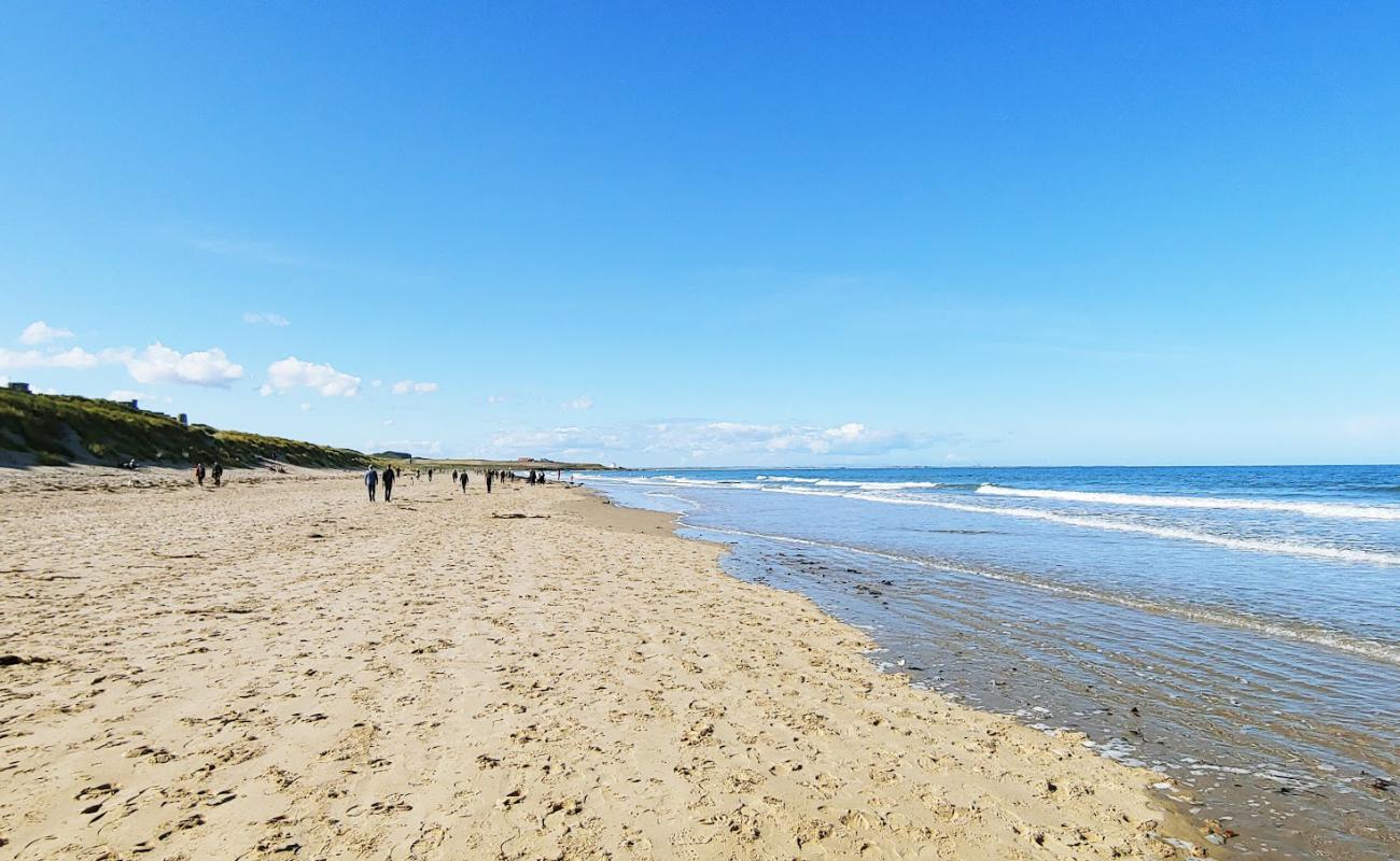 North Sunderland beach'in fotoğrafı açık bej kum yüzey ile