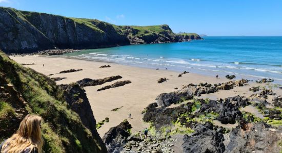 Traeth Llyfn