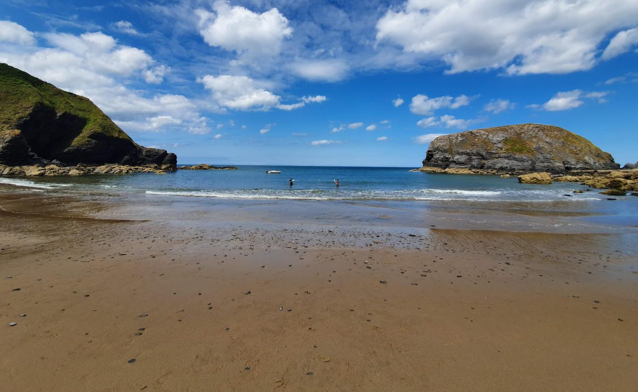 Llangrannog Plajı'in fotoğrafı parlak kum yüzey ile