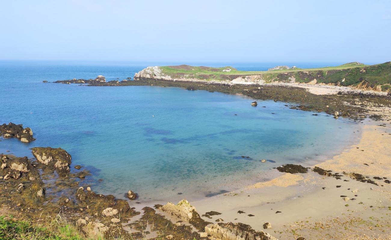 Porth Padrig'in fotoğrafı bej kum ve kayalar yüzey ile
