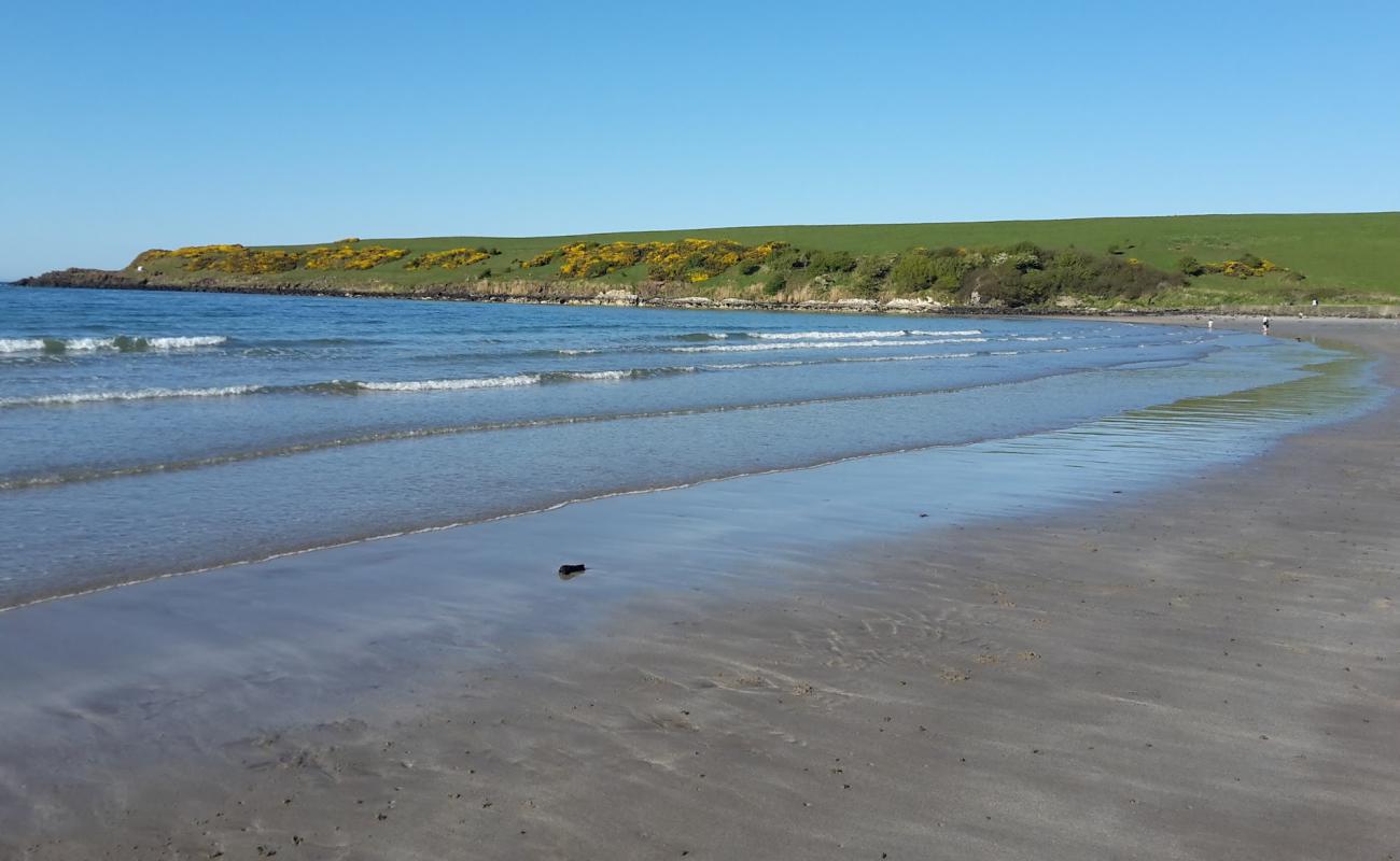 Browns Bay Beach'in fotoğrafı kahverengi kum yüzey ile