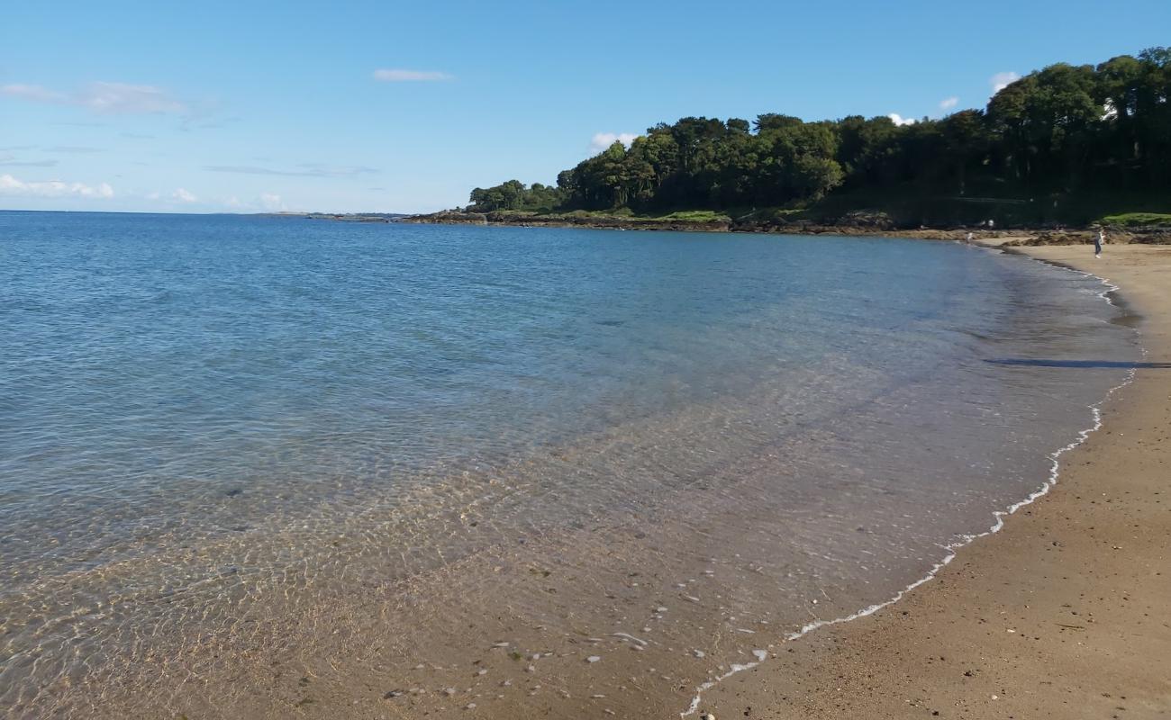 Crawfordsburn Beach'in fotoğrafı açık bej kum yüzey ile