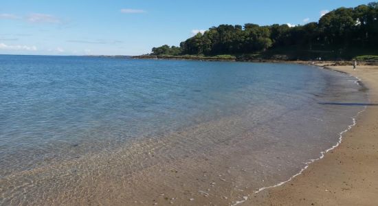 Crawfordsburn Beach