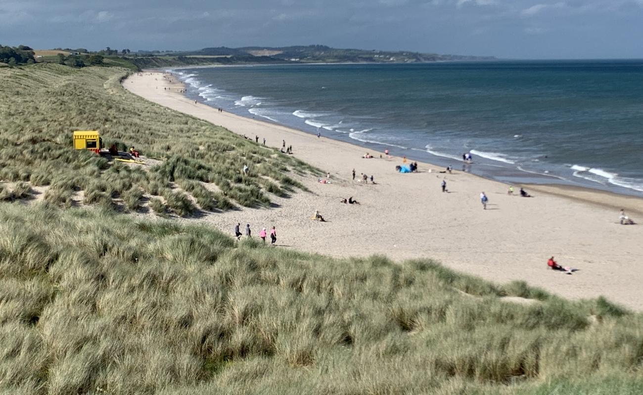 Curracloe beach'in fotoğrafı i̇nce bej kum yüzey ile