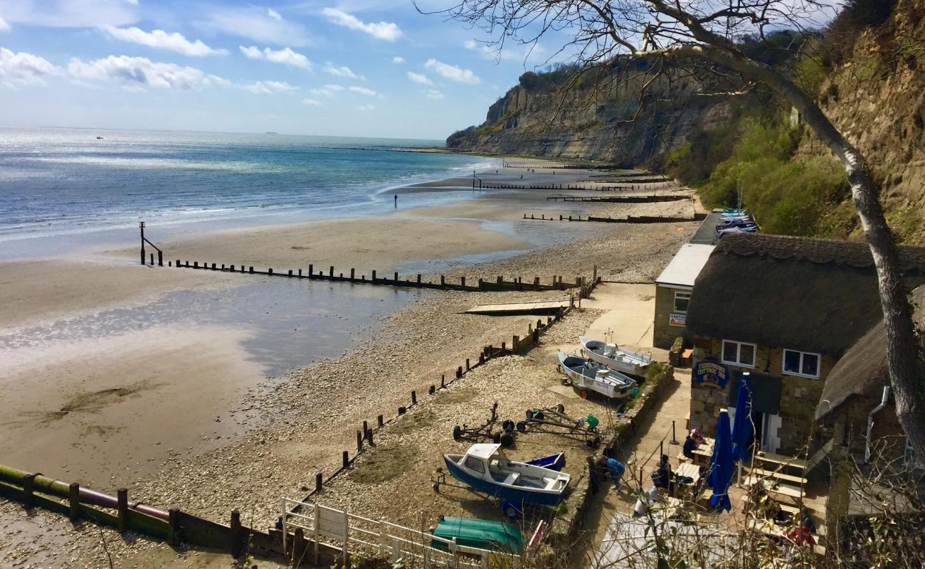 Shanklin Beach,Luccombe End'in fotoğrafı hafif çakıl yüzey ile