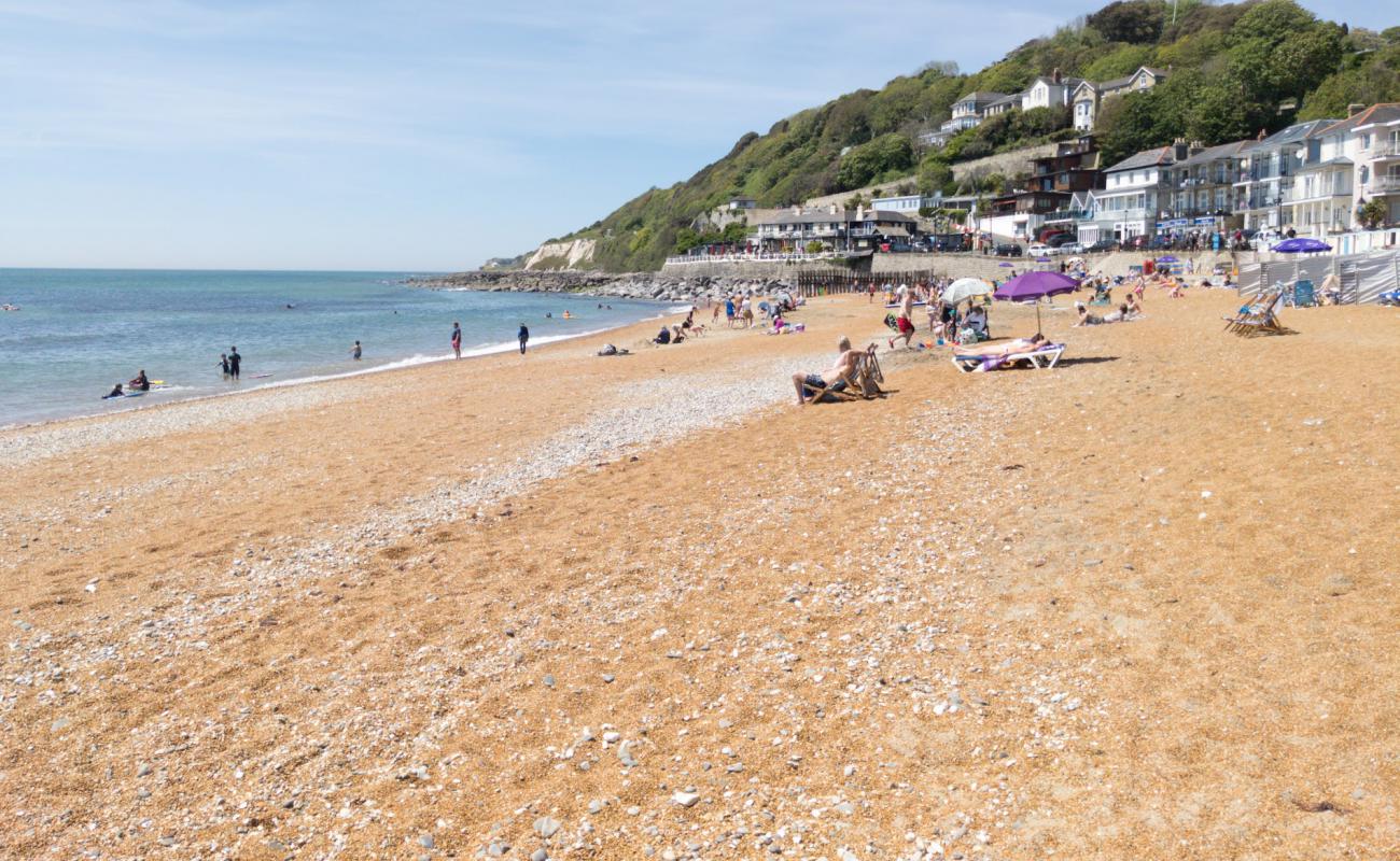 Ventnor Plajı'in fotoğrafı çakıl ile kum yüzey ile