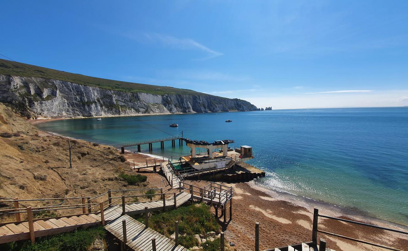 Alum Bay Beach'in fotoğrafı hafif çakıl yüzey ile