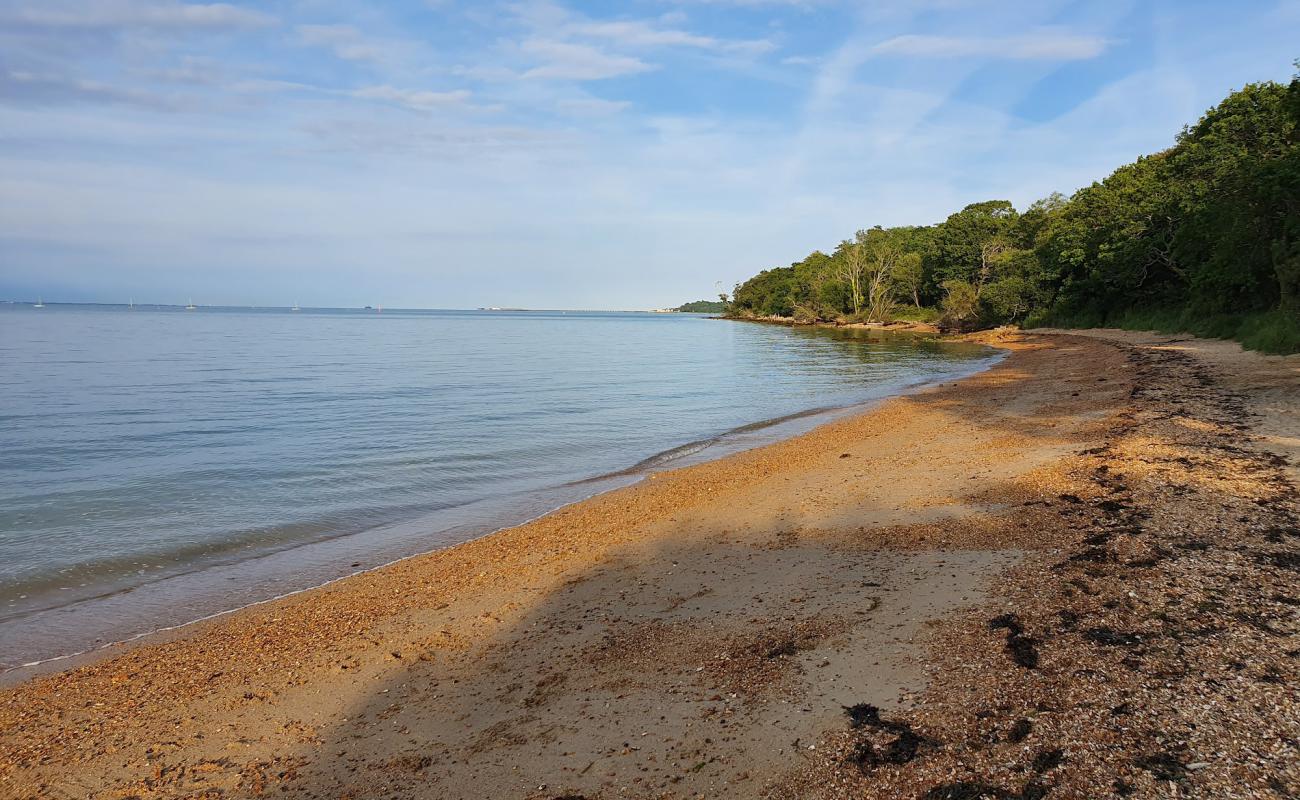 Woodside Beach'in fotoğrafı çakıl ile kum yüzey ile