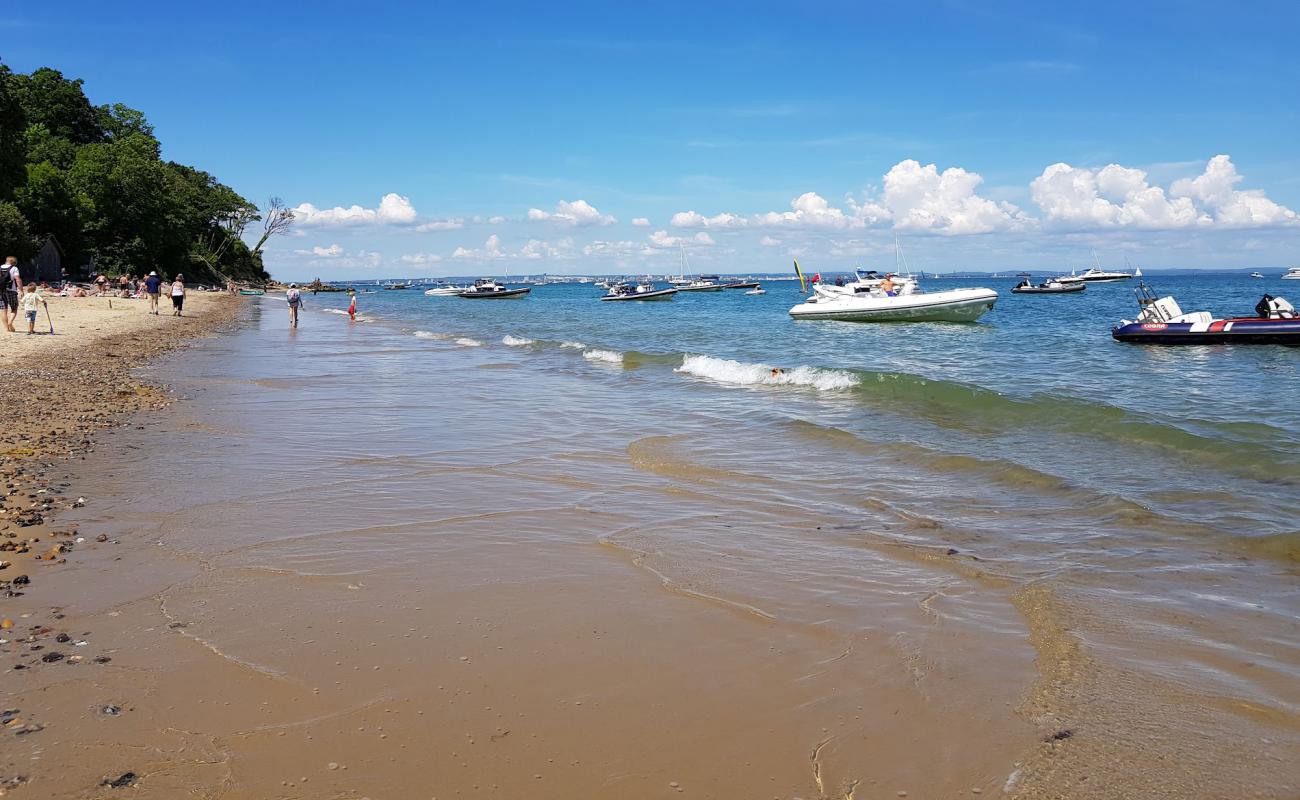 Priory Beach'in fotoğrafı parlak kum yüzey ile