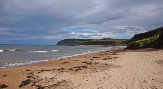 Skinningrove Plajı