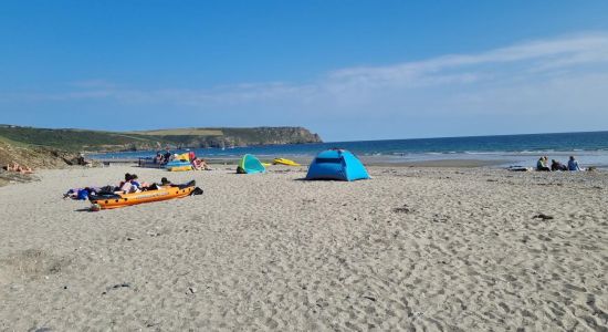 Pendower Beach