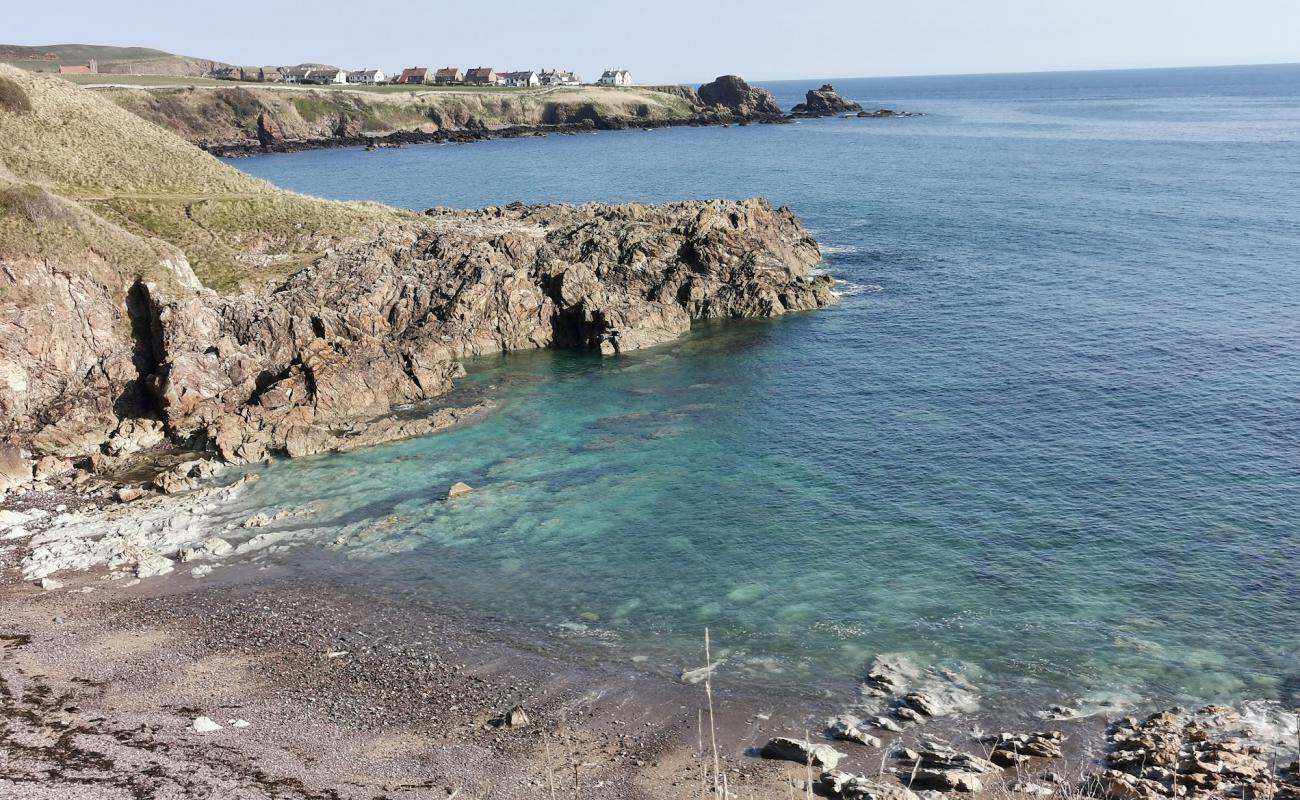 Milldown Bay Beach'in fotoğrafı gri çakıl taşı yüzey ile