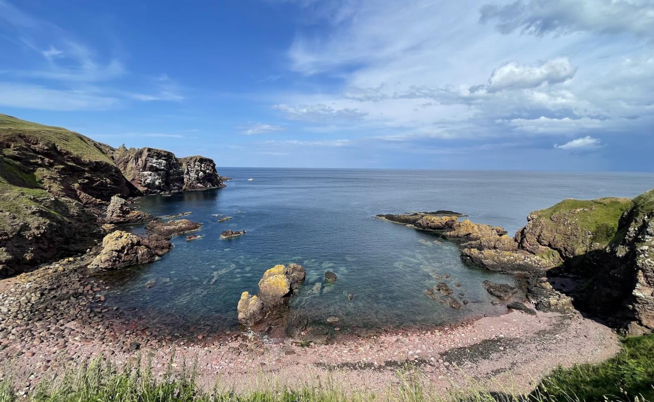 Starney Bay'in fotoğrafı kayalık arazi yüzey ile